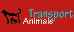 Transport international de animale de companie - probleme si solutii